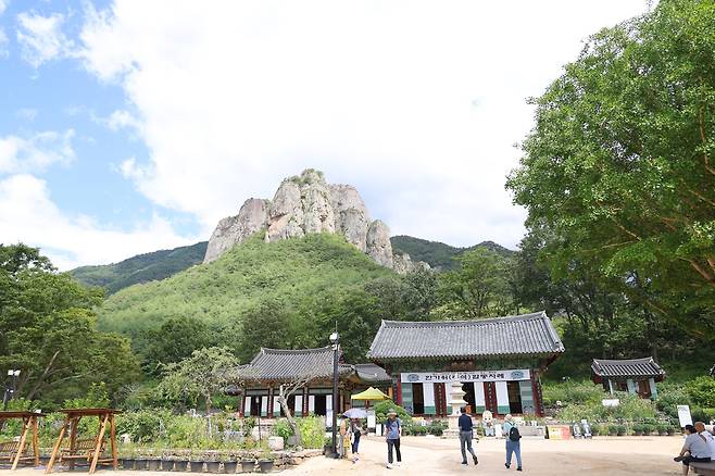 화마 피한 대전사 (청송=연합뉴스) 박세진 기자 = 지난 11일 경북 청송군 주왕산 국립공원 사찰 대전사에 등산객 발길이 이어지고 있다. 2025.9.11 psjpsj@yna.co.kr