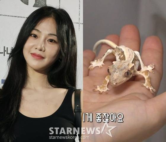 /사진=스타뉴스, MBC '전지적 참견 시점' 방송 캡처