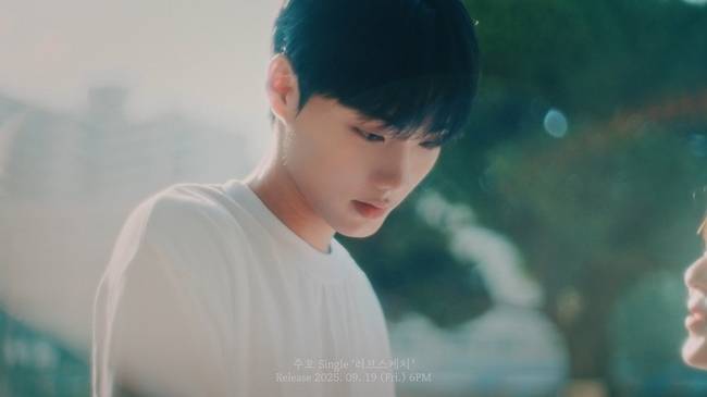 레이벡스 제공