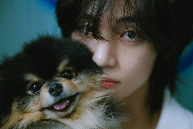 그래 태형이지~♥ 방탄소년단 뷔, '입덕 책임지는 덕후몰이상 남돌' 1위