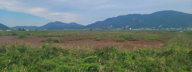 ▲ 강화 남단 경제자유구역 지정 대상지 6.32㎢ 중 40%를 차지한 동주물산㈜의 동주농장 전경. /인천일보DB