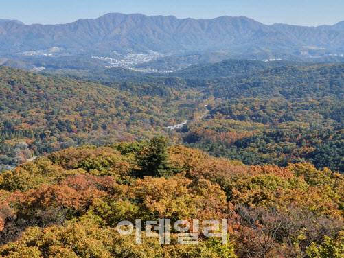 광릉숲의 가을 전경. (사진=국립수목원 제공)