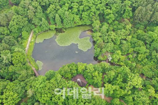 육림호 항공사진. (사진=국립수목원 제공)