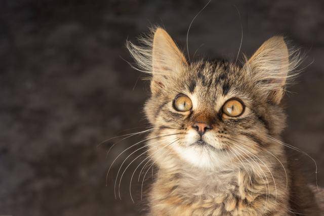 게티이미지뱅크