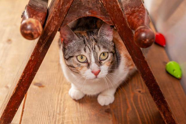 게티이미지뱅크