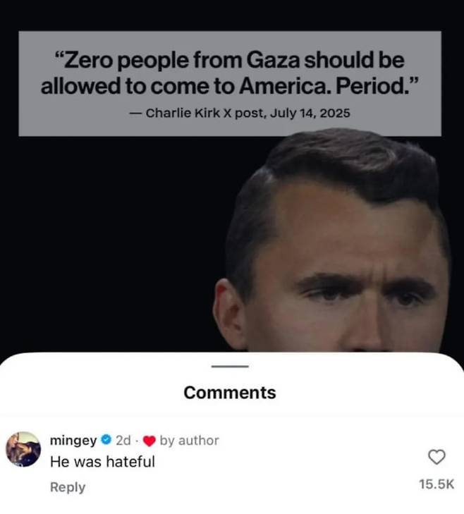 찰리 커크 관련 게시물에 달린 아만다 사이프리드의 댓글. / 사진=인스타그램 캡처