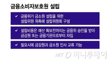 금융소비자보호원 설립/그래픽=이지혜