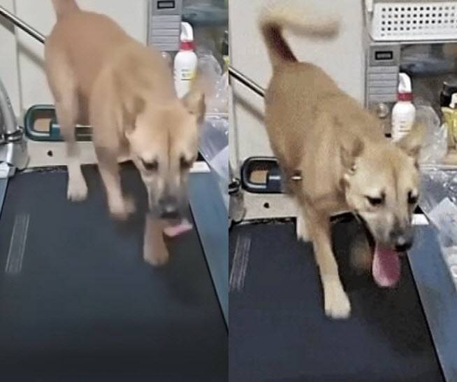 사진=인스타그램 캡처