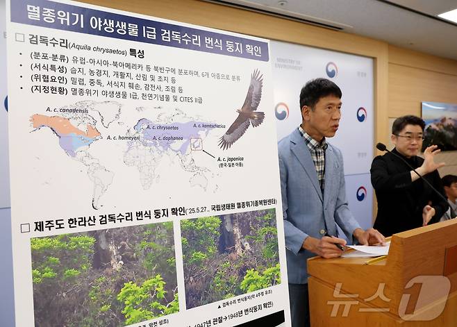 정길상 국립생태원 복원연구실장이 지난 16일 세종시 정부세종청사 환경부에서 멸종위기종 Ⅰ급 검독수리 번식 둥지를 제주도에서 77년 만에 확인한 내용을 발표하고 있다. 국립생태원은 검독수리 둥지의 발견을 계기로 유관기관들과 협업하여 서식지 보전을 강화하는 한편, 번식 상황을 지속적으로 관측하고 번식한 개체의 기원 연구를 추진할 계획이라고 밝혔다. 2025.9.17/뉴스1 ⓒ News1 김기남 기자