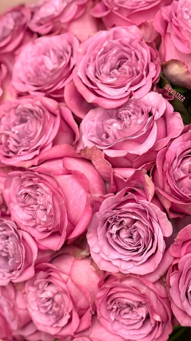 사진=김혜수 소셜미디어