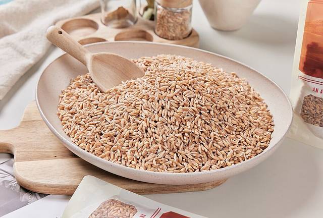 고대곡물 파로. 게티이미지뱅크