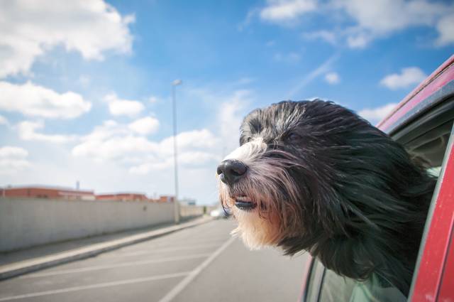 게티이미지뱅크