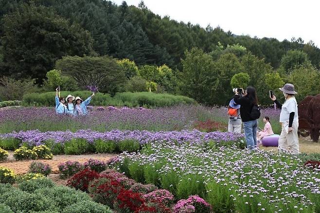지난해 봉자페스티벌에 참가한 가족 단위 관람객이 야생화단지는 기념사진을 찍고 있다. /백두대간수목원 제공