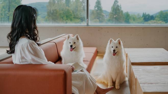 사진=교원그룹 '키녹'