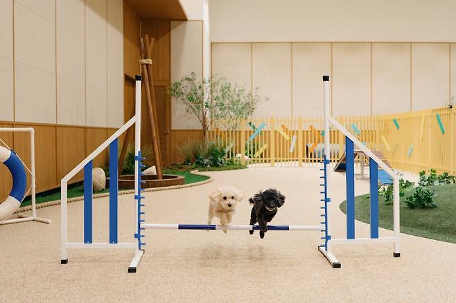 키녹 펫 프로그램. 사진=교원그룹