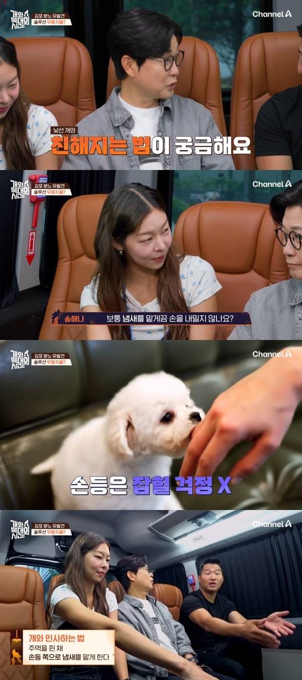 채널A ‘개와 늑대의 시간’ 캡처