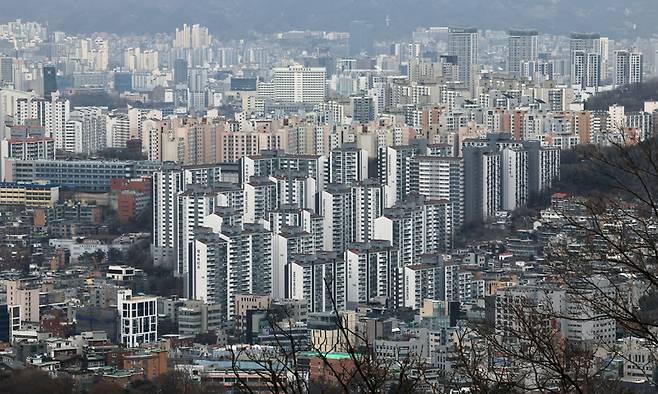 서울 남산에서 주택 및 아파트 단지가 보이고 있다. 뉴스1