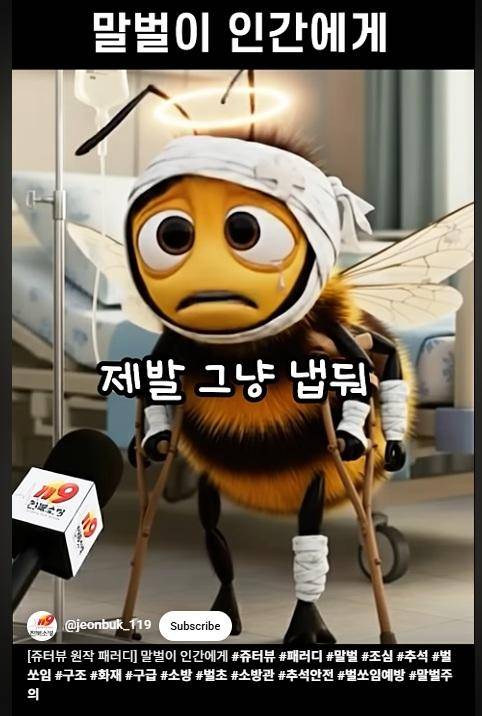 추석 성묘객에게 말벌 대응 요령을 알려주는 전북소방청의 유튜브 영상.