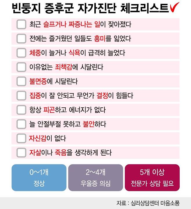 빈둥지 증후군 자가진단 체크리스트 /그래픽=정기현 기자