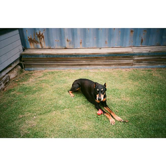 사진 출처=배정남 계정