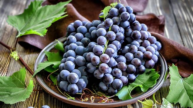 '슈퍼푸드'로도 불리는 포도에는 다양한 건강 상 효능이 있다|출처: 클립아트코리아