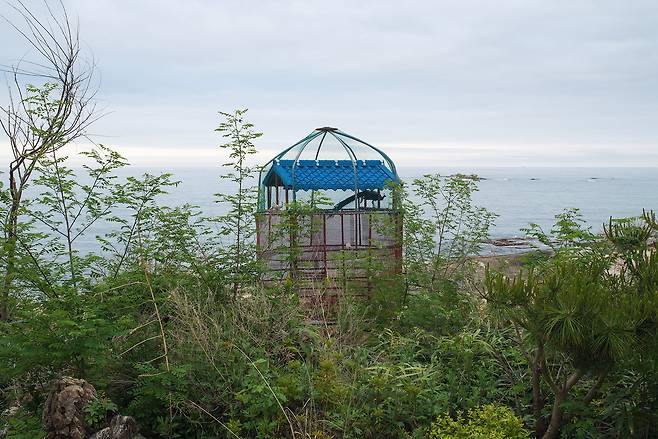고성 해안 초소가 철거되고 그 자리에 땅주인이 공작새를 키우고 있다. 2021년/ 사진가 김전기