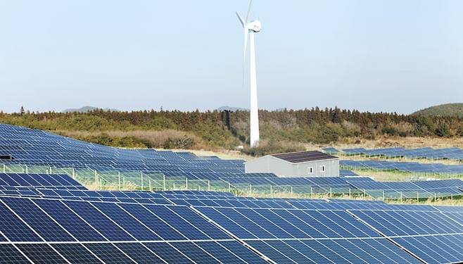 제주 서귀포시 표선면 가시리에 풍력 발전과 태양광 발전 시설이 들어선 모습. 제주는 예측·통제가 어려운 재생에너지로 인한 전력 공급 과잉 문제를 ‘재생에너지 입찰제’로 해결해 주목받고 있다./조선일보DB