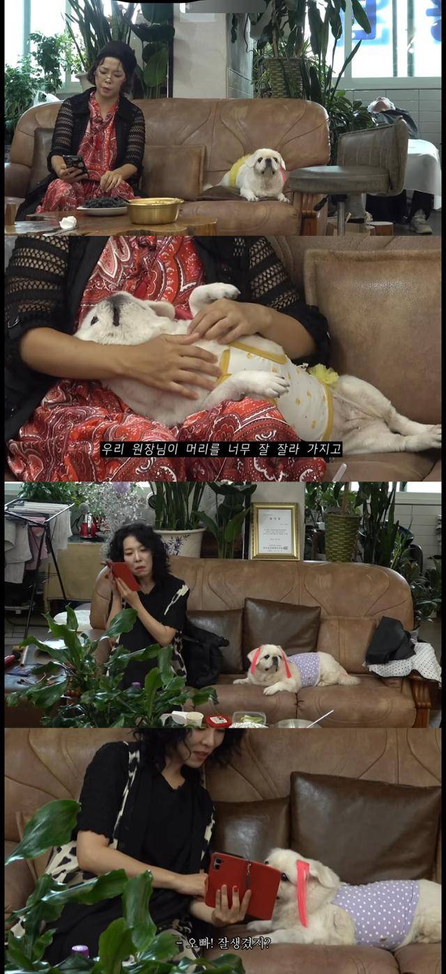 핫이슈지 유튜브 캡처