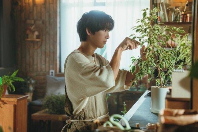 ‘마이 유스’에서 배우 송중기가 연기하는 ‘선우해’는 아밀로이드증으로 시한부 판정을 받은 인물이다. 드라마 ‘마이 유스’ 캡처