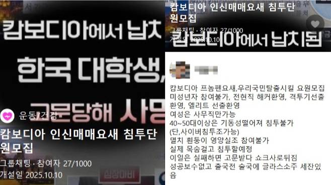 캄보디아에 가 한국인을 구조할 사람을 모집한다는 오픈채팅방. 화면 캡처