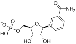 니코틴아마이드 모노뉴클레오티드(nicotinamide mononucleotide, NMN)의 구조.