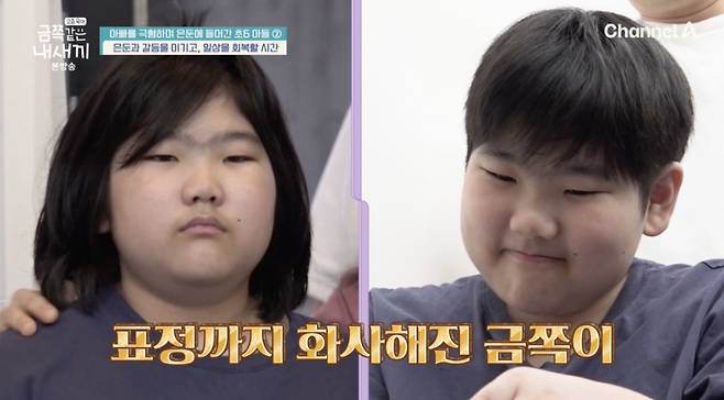 /사진='금쪽같은 내새끼' 방송화면 캡쳐