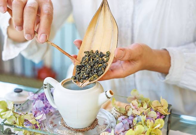 아리산의 한 티하우스에서 찻집 주인이 둥글게 말린 찻잎을 다기(茶器)에 넣고 있다. /장련성 기자