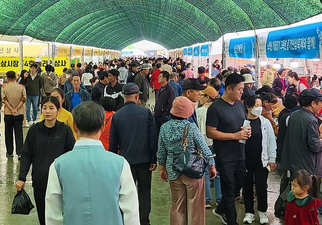 풍기인삼축제가 열리는 남원천 둔치에 축제장을 찾은 방문객들이 인산인해를 이루고 있다. 권기웅 기자
