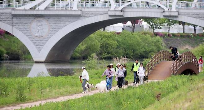 반려인들이 강아지와 산책을 즐기고 있다. 연합뉴스