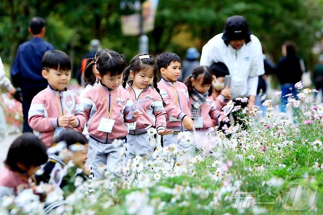 16일 강원 인제군 북면 용대리 일원에서 가을꽃 축제장을 찾은 어린이집 원아들이 꽃구경을 하고 있다. (인제군 제공. 재판매 및 DB 금지) 2025.10.16/뉴스1