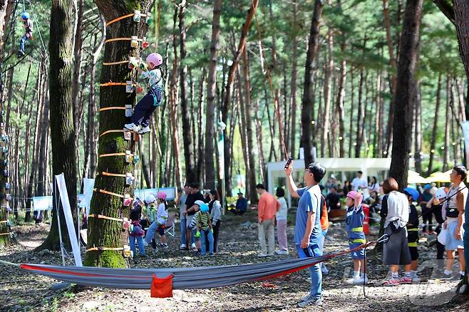8일 강원 인제군 북면 용대리 일원에서 열린 '2025 인제 가을꽃 축제'를 찾은 관광객들이 다양한 체험을 즐기고 있다. (인제군 제공. 재판매 및 DB금지) 2025.10.8/뉴스1