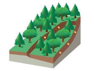 땅밀림 개념도. 산림청 제공