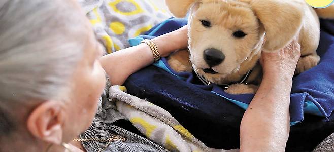 요양원에서 환자의 인지 자극 활동을 돕는 데 활용되고 있는 톰봇 로보틱스의 '제니'.