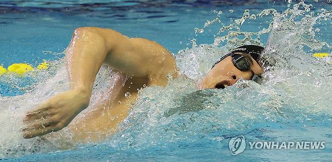 전국체전 역영하는 황선우 (부산=연합뉴스) 강선배 기자 = 20일 오후 부산 동래구 사직실내수영장에서 열린 제106회 전국체육대회 수영(경영) 남자일반부 자유형 200m 결승에서 황선우(강원도청)가 역영하고 있다. 2025.10.20 sbkang@yna.co.kr