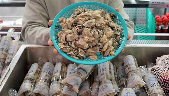 롯데마트 2025년산 생굴 판매 / 사진=롯데마트 제공