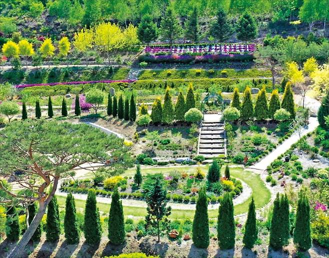 256개 다채로운 색깔 정원 속 트리하우스와 정원 교실이 유명한 괴산트리하우스 전경. 산림청 제공