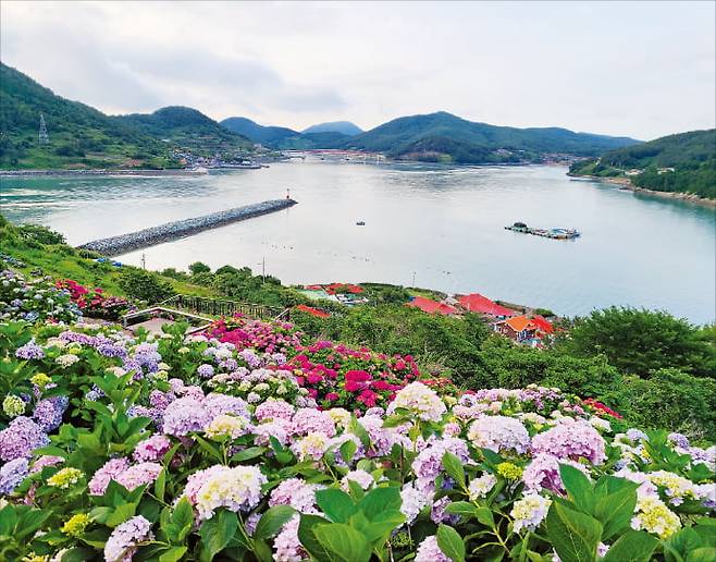 섬으로 가는 뱃길, 원시림을 지나 펼쳐지는 바다 풍경이 자랑인 힐링파크쑥섬쑥섬 전경. 산림청 제공