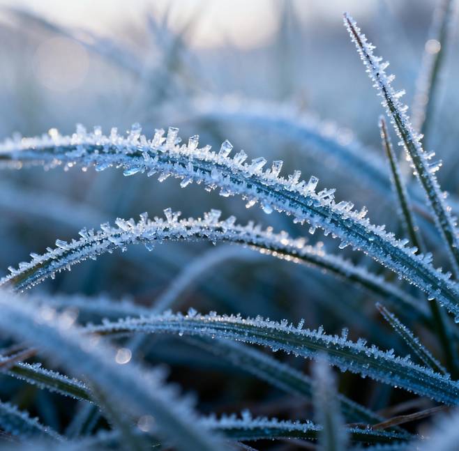 가을의 마지막 절기 '상강'의 뜻