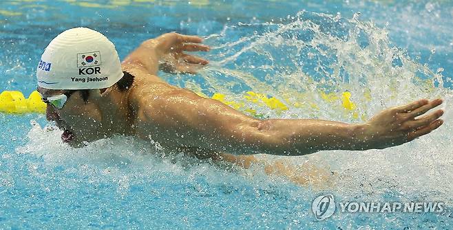 수영 남자일반부 혼계영 400m 결승 접영 (부산=연합뉴스) 강선배 기자 = 23일 부산 사직종합운동장 실내수영장에서 열린 제106회 전국체육대회 수영 남자 일반부 혼계영 400m 결승에서 접영주자로 나선 양재훈(강원도청)이 역영하고 있다. 2025.10.23 sbkang@yna.co.kr