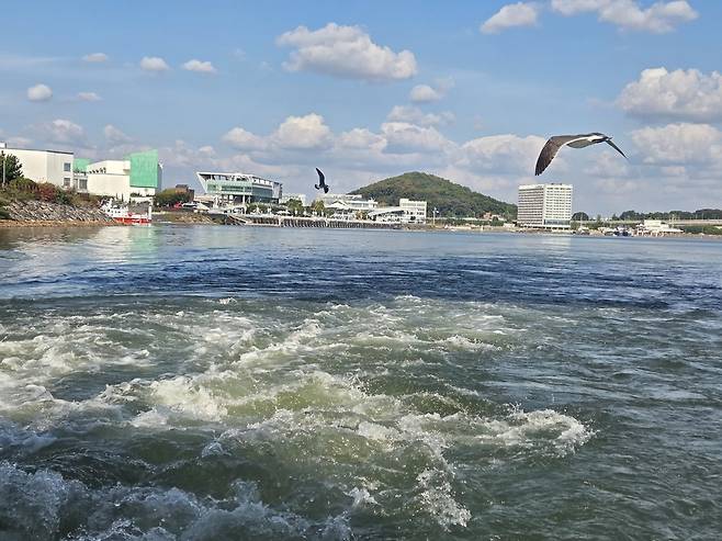 ▲ 공모를 통해 참여한 260여명의 김포 시민들이 승선한 '아라호'가 김포 고촌 아라김포여객터미널을 출항하고 있다.
