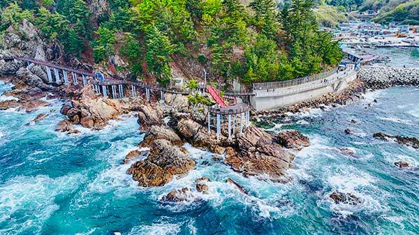 절벽과 숲, 바다 풍광을 한눈에 담는 초곡 용굴 촛대바위길.