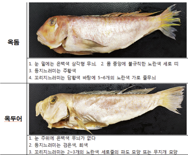 옥돔과 옥두어의 생김새 차이. 식약처 제공