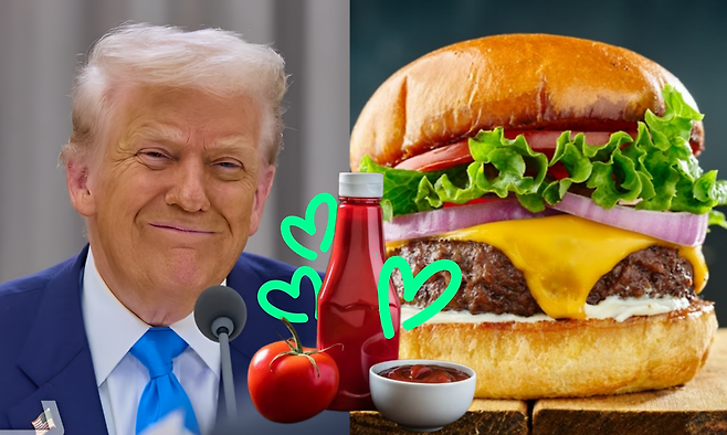 트럼프 미국 대통령이 경주 힐튼호텔에서 ‘맞춤형 치즈버거’를 주문했다. “야채는 빼고 케첩은 듬뿍”이라는 요청까지 남긴 것으로 전해졌다. 뉴시스·게티이미지뱅크.