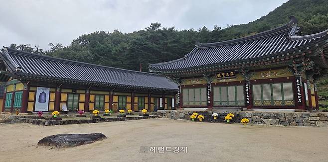 ÁøÀü»ç Àû±¤º¸Àü